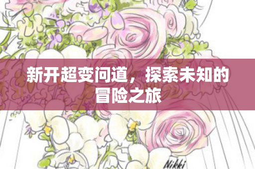 新开超变问道，探索未知的冒险之旅