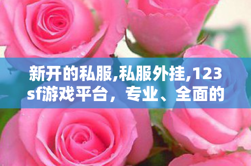 新开的私服,私服外挂,123sf游戏平台，专业、全面的游戏体验平台