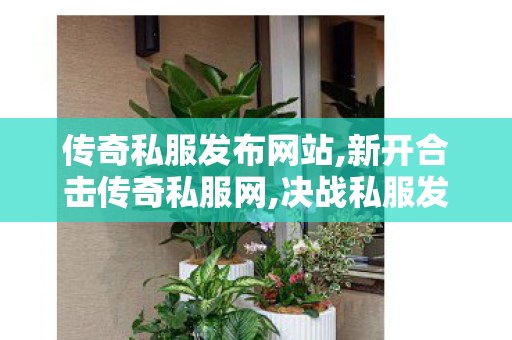 传奇私服发布网站,新开合击传奇私服网,决战私服发布网，打造极致游戏体验的专属平台