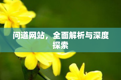 问道网站，全面解析与深度探索