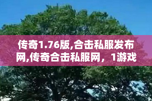 传奇1.76版,合击私服发布网,传奇合击私服网，1游戏服务与11探讨