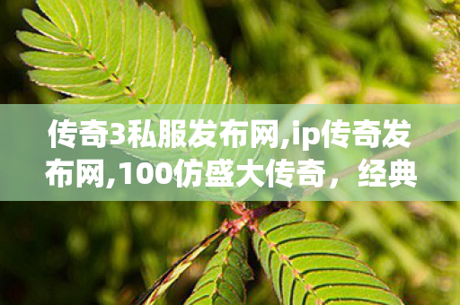 传奇3私服发布网,ip传奇发布网,100仿盛大传奇，经典重现，传奇不灭