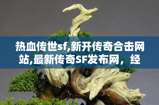 热血传世sf,新开传奇合击网站,最新传奇SF发布网，经典传奇游戏，重燃热血战斗激情