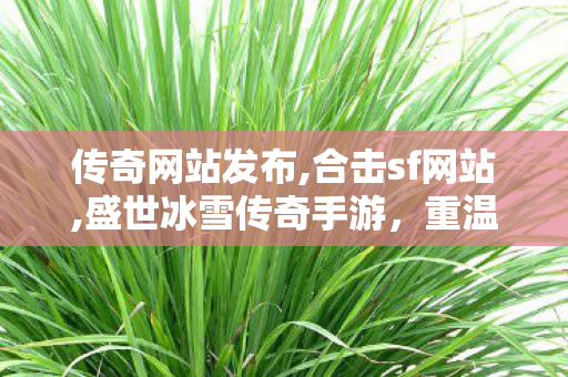 传奇网站发布,合击sf网站,盛世冰雪传奇手游，重温经典，探索无尽冒险之旅