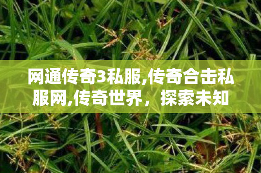 网通传奇3私服,传奇合击私服网,传奇世界，探索未知的冒险之旅