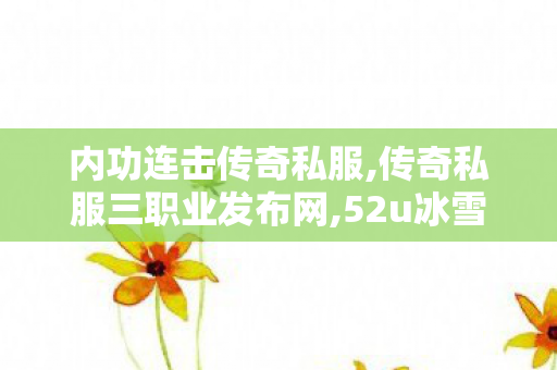 内功连击传奇私服,传奇私服三职业发布网,52u冰雪传奇手游，经典重现，传奇再启