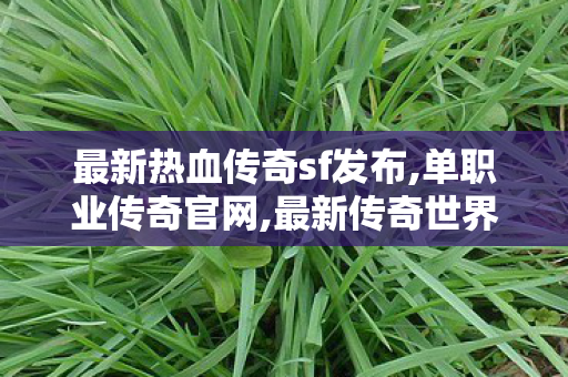 最新热血传奇sf发布,单职业传奇官网,最新传奇世界私服攻略