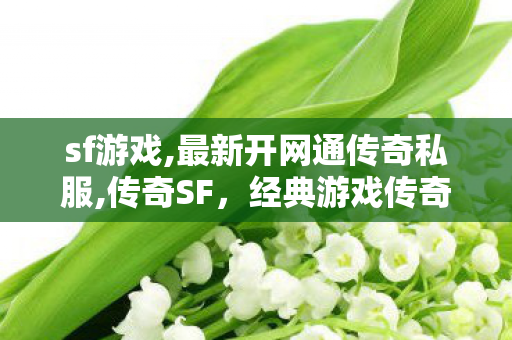 sf游戏,最新开网通传奇私服,传奇SF，经典游戏传奇的私服探索之旅