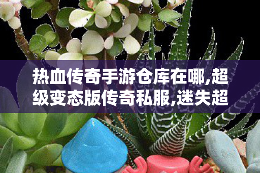 热血传奇手游仓库在哪,超级变态版传奇私服,迷失超变单职业传奇，经典重现，一战到底的传奇之旅