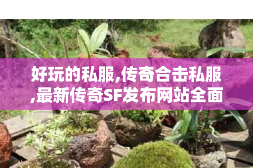 好玩的私服,传奇合击私服,最新传奇SF发布网站全面解析，精选优质资源，畅享传奇游戏乐趣