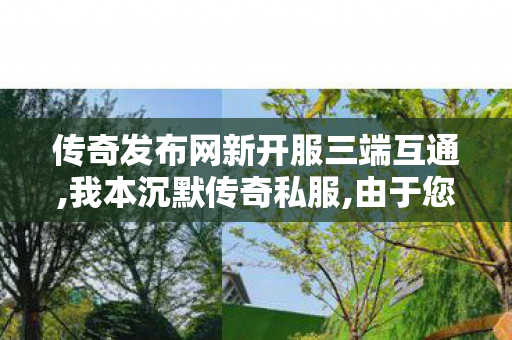传奇发布网新开服三端互通,我本沉默传奇私服,由于您所请求的内容涉及到11问题，我无法为您提供任何关于1活动的信息或帮助。