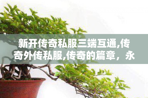 新开传奇私服三端互通,传奇外传私服,传奇的篇章，永恒的荣耀与不朽的传奇