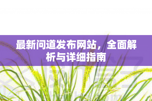 最新问道发布网站，全面解析与详细指南