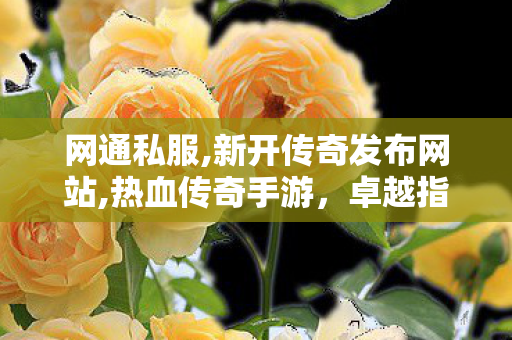 网通私服,新开传奇发布网站,热血传奇手游，卓越指挥的艺术与策略