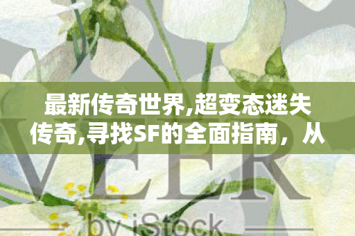 最新传奇世界,超变态迷失传奇,寻找SF的全面指南，从基础到进阶的详细解析