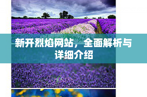 新开烈焰网站，全面解析与详细介绍