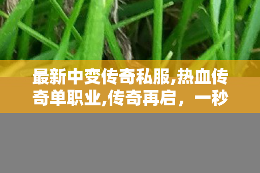 最新中变传奇私服,热血传奇单职业,传奇再启，一秒钟的辉煌，重温经典传奇游戏