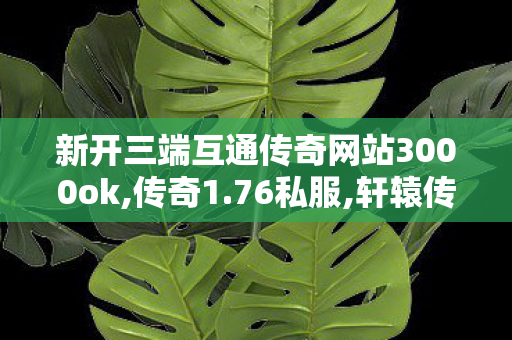 新开三端互通传奇网站3000ok,传奇1.76私服,轩辕传奇邪尊，传奇英雄的崛起与荣耀