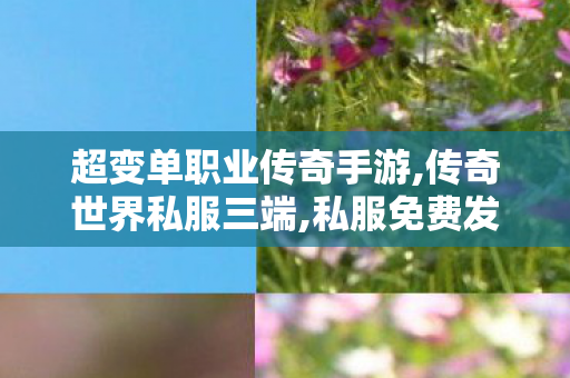 超变单职业传奇手游,传奇世界私服三端,私服免费发布，全面解析其11与影响