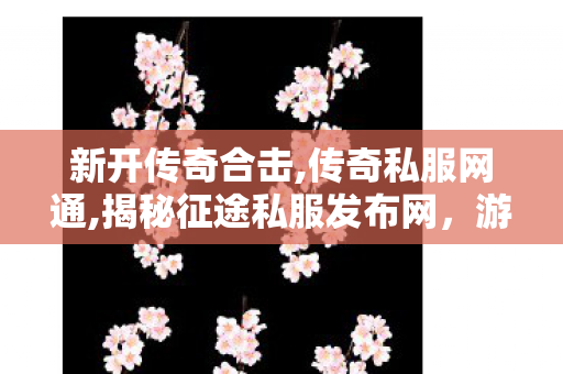 新开传奇合击,传奇私服网通,揭秘征途私服发布网，游戏私服的1与1责任