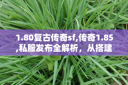 1.80复古传奇sf,传奇1.85,私服发布全解析，从搭建到运营的详细指南