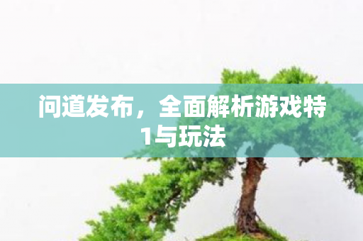 问道发布，全面解析游戏特1与玩法