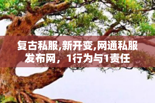 复古私服,新开变,网通私服发布网，1行为与1责任