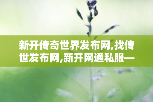 新开传奇世界发布网,找传世发布网,新开网通私服——全面解析与注意事项