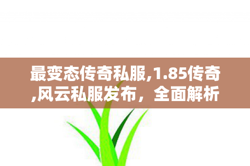 最变态传奇私服,1.85传奇,风云私服发布，全面解析与详细指南