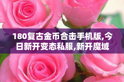 180复古金币合击手机版,今日新开变态私服,新开魔域私服介绍及全面分析