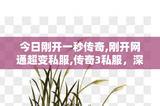 今日刚开一秒传奇,刚开网通超变私服,传奇3私服，深度解析与全面了解