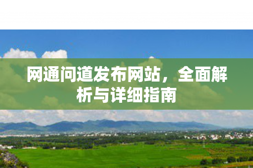网通问道发布网站，全面解析与详细指南