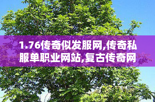 1.76传奇似发服网,传奇私服单职业网站,复古传奇网页游戏，重温经典，再现传奇魅力
