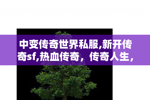 中变传奇世界私服,新开传奇sf,热血传奇，传奇人生，热血征途