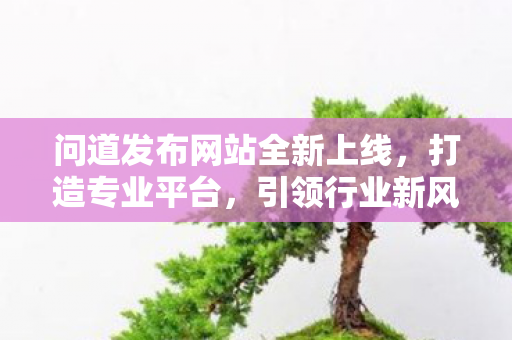 问道发布网站全新上线，打造专业平台，引领行业新风尚