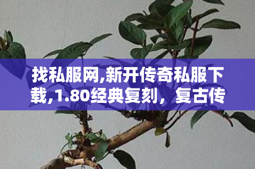找私服网,新开传奇私服下载,1.80经典复刻，复古传奇发布网全面解析