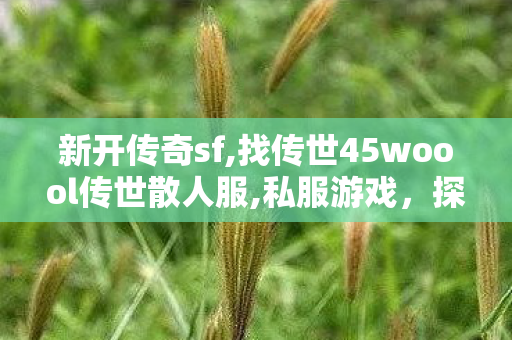 新开传奇sf,找传世45woool传世散人服,私服游戏，探索、乐趣与社交的独特体验