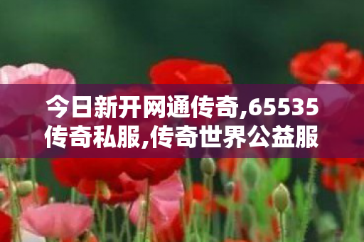 今日新开网通传奇,65535传奇私服,传奇世界公益服发布网，经典游戏体验，重温传奇之旅