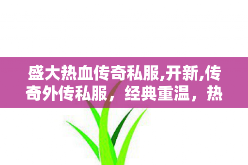 盛大热血传奇私服,开新,传奇外传私服，经典重温，热血再燃的私家游戏体验