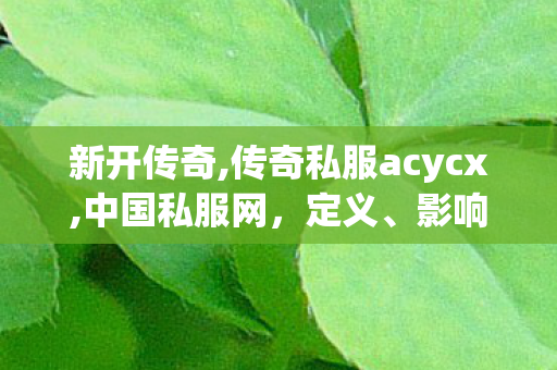 新开传奇,传奇私服acycx,中国私服网，定义、影响与应对策略