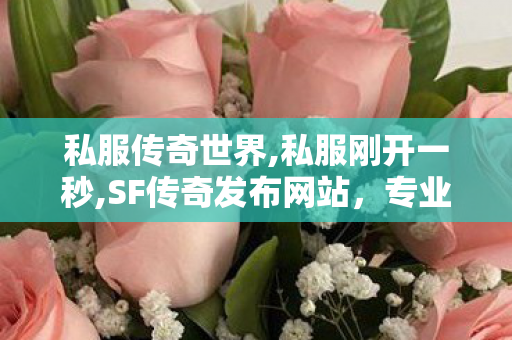 私服传奇世界,私服刚开一秒,SF传奇发布网站，专业平台，畅玩传奇游戏的首选之地