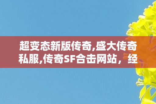 超变态新版传奇,盛大传奇私服,传奇SF合击网站，经典重现，热血传奇再续