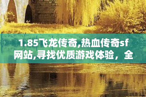 1.85飞龙传奇,热血传奇sf网站,寻找优质游戏体验，全面解析找服网SF的多样性与优势