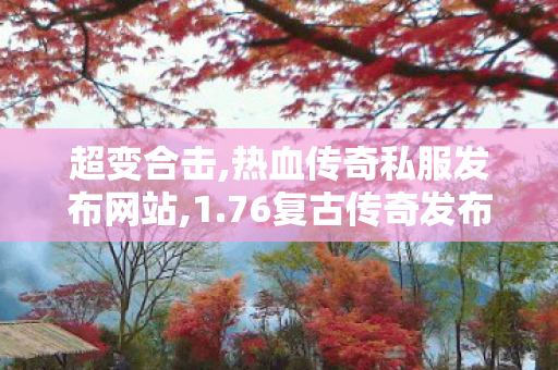 超变合击,热血传奇私服发布网站,1.76复古传奇发布网，经典传奇游戏，重温热血青春