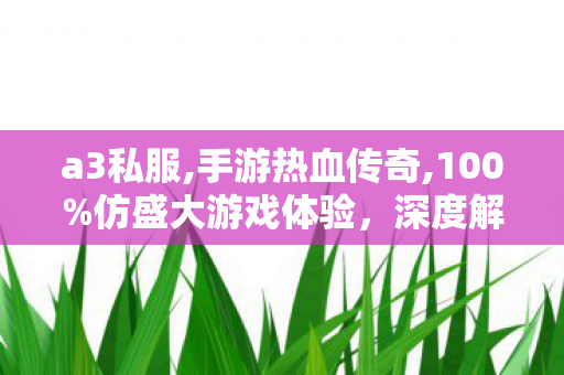a3私服,手游热血传奇,100%仿盛大游戏体验，深度解析与全面指南