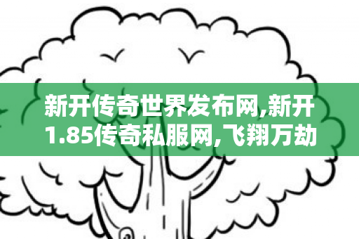 新开传奇世界发布网,新开1.85传奇私服网,飞翔万劫连击，全面解析与深度探讨