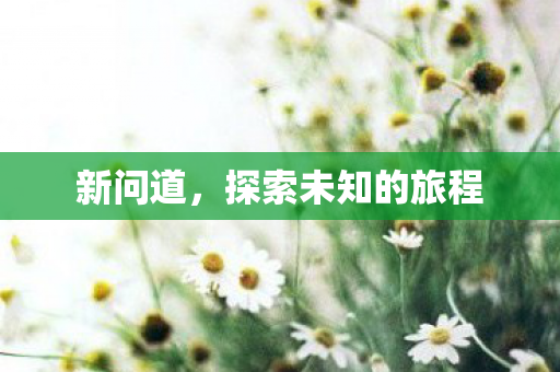 新问道，探索未知的旅程