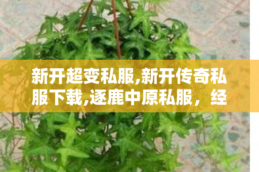 新开超变私服,新开传奇私服下载,逐鹿中原私服，经典游戏体验的深度探索与解析