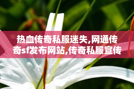 热血传奇私服迷失,网通传奇sf发布网站,传奇私服宣传网，经典游戏体验的全新选择