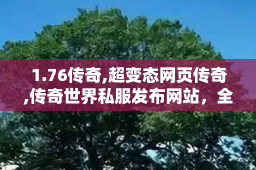 1.76传奇,超变态网页传奇,传奇世界私服发布网站，全面解析与安全1